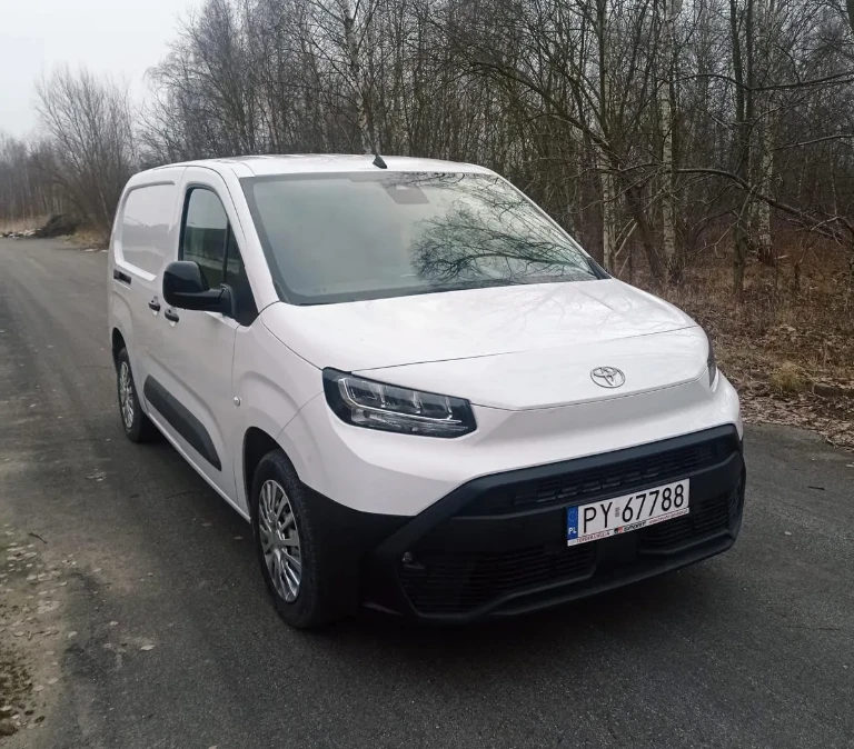 Biały dostawczak w&nbsp;lesie